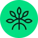 Mangrove logo