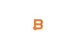Business Instincts Group logo