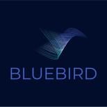 Bluebird Labs logo