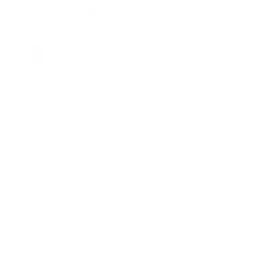Gnosis logo