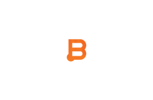 Business Instincts Group logo