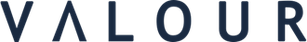 Valour Inc. logo