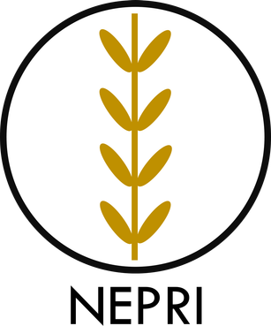 NEPRI Finance logo