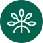 Mangrove logo