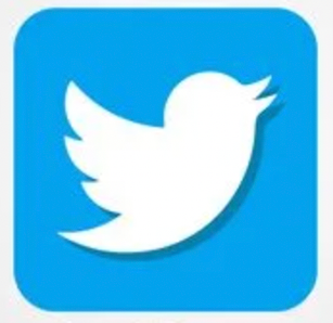Personal Twitter logo