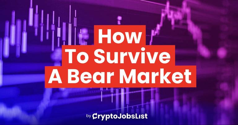 How To Survive A Crypto Bear Market