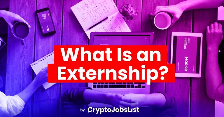 Externships: Everything to Know About Externship Programs