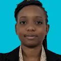 smart contract engineer