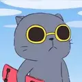 UI/UX Designer