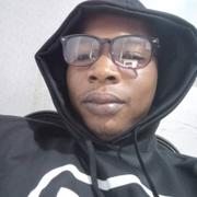 Software Developer / Engineer