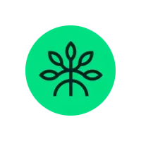 Mangrove logo
