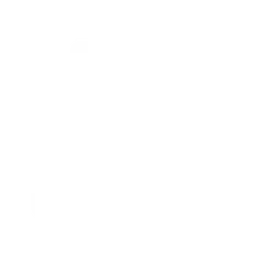 Baltic Block logo white
