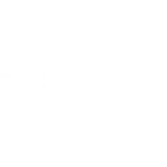 Sapien logo white