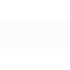 Strips Finance logo