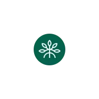 Mangrove logo