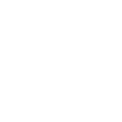 STRIPS Finance logo