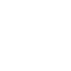 Talent Protocol logo white