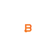 Business Instincts Group  logo