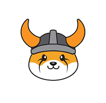 floki inu meme coin copy.png