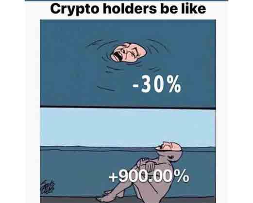 crypto-holders-loss-gain-meme.jpg