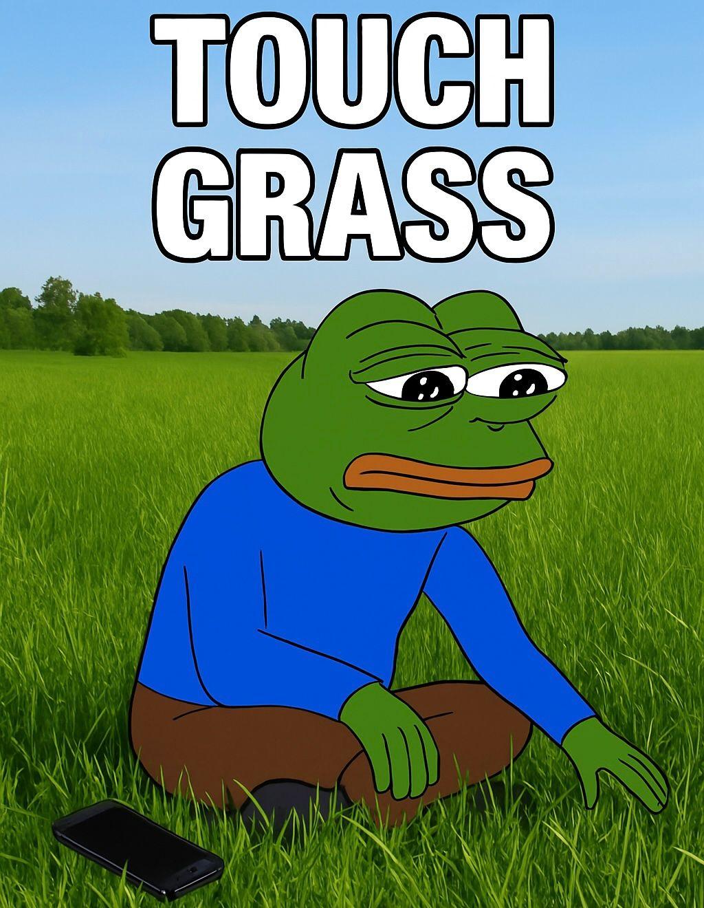 touch grass , surviving in the bear market.jpg