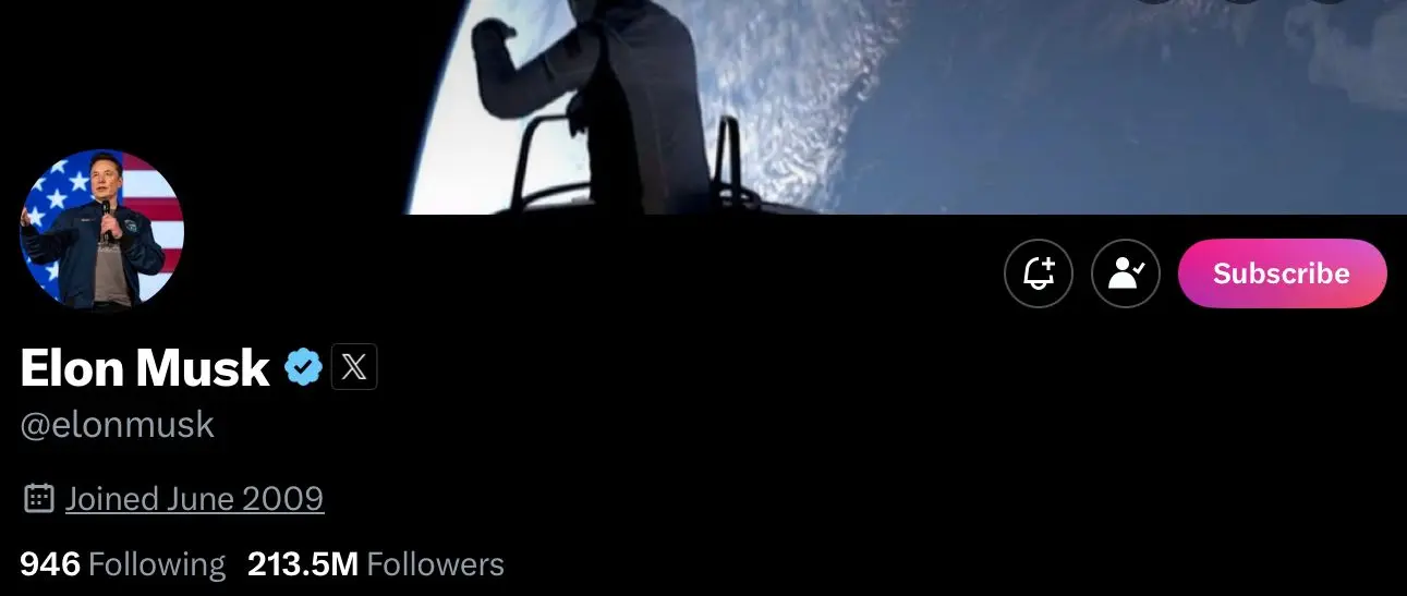 Elon Musk's crypto profile on X