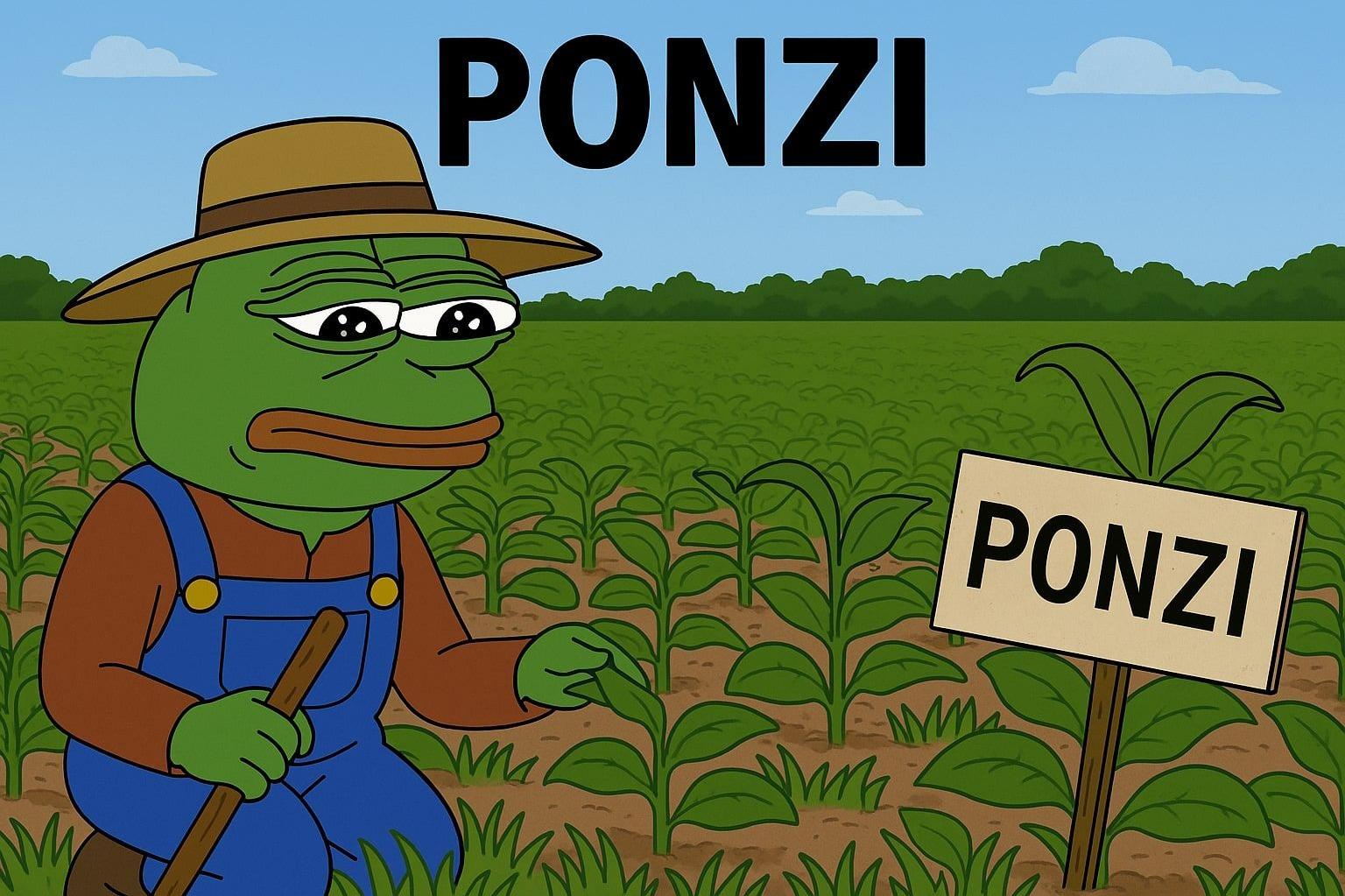 ponzi, how to survive the bear market in crypto.jpg