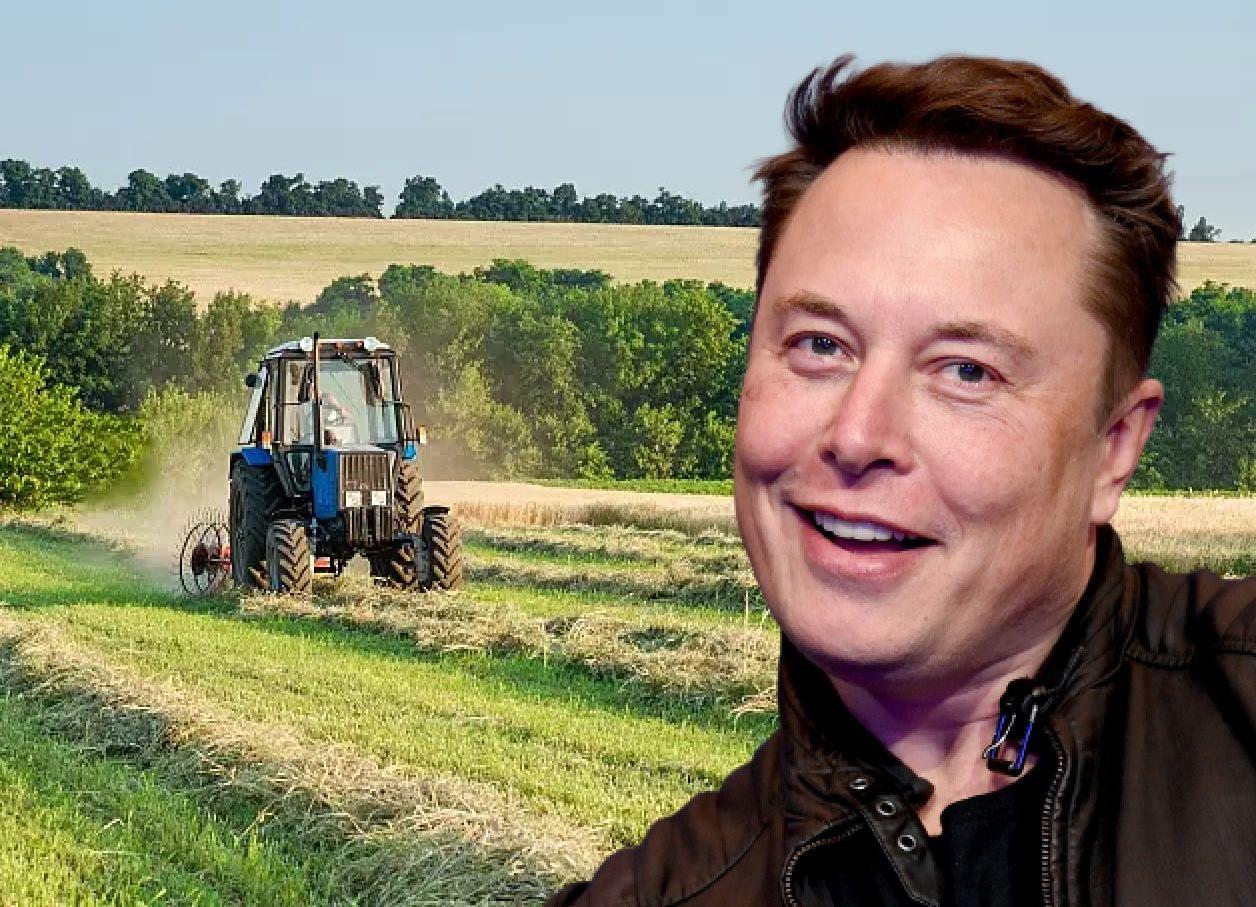 First job of Elon Musk