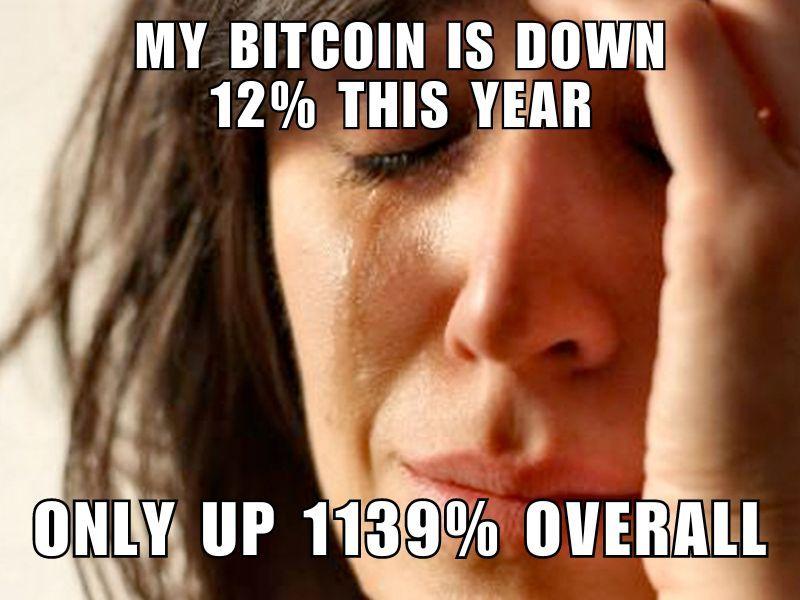 Crypto memes bitcoin down.jpg